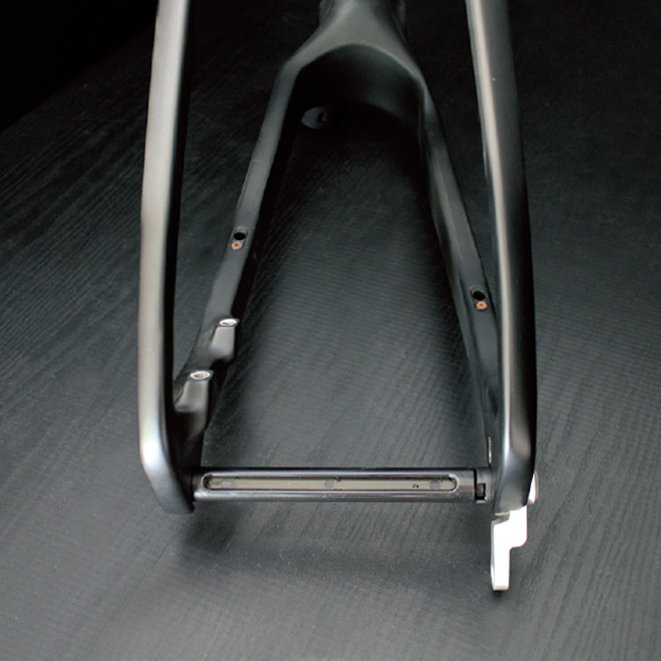 Rear Fork Protector