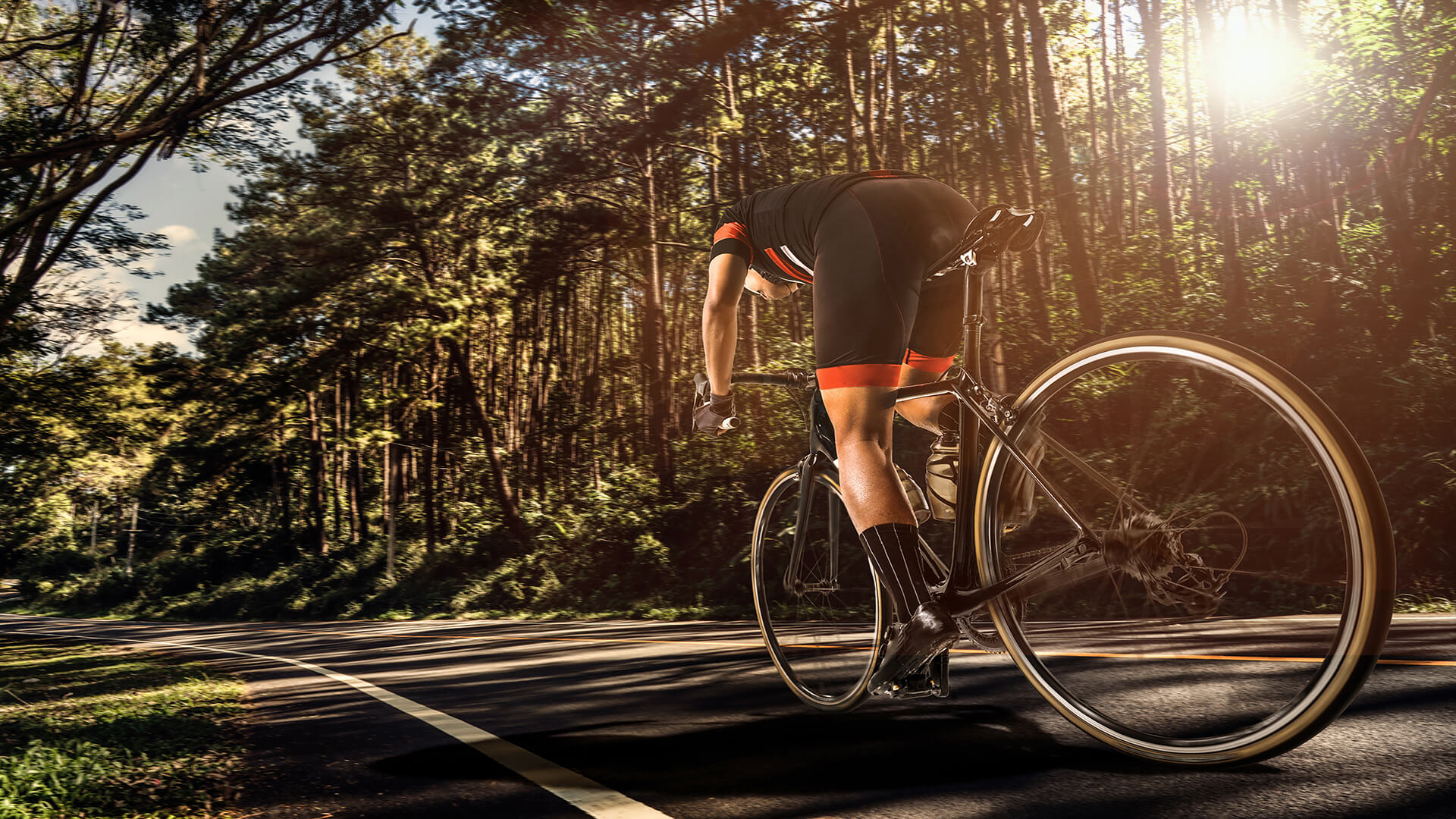 全球自行車需求熱絡 雙雄營收創新高