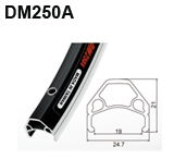 DM250A