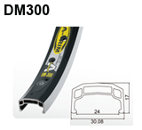 DM300