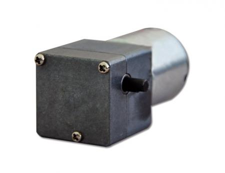 客製 3V - 24V 蝸桿蝸輪式電機 25mm 齒輪箱搭配直流馬達 25mm 外徑